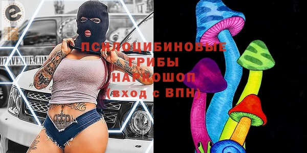бошки Абдулино